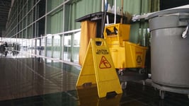 clean-audit