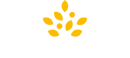 The Morrisons logo