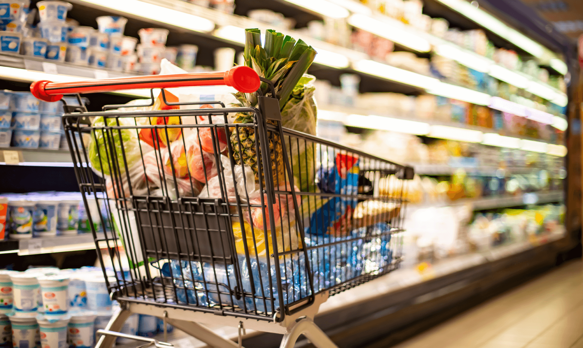 A supermarket trolley filled with food and left in an aisle